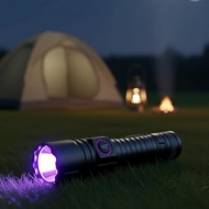 Zoom UV Light 395/365nm, USB Rechargeable Portable Counterfeit Detector with 18650 Battery  Lampu UV