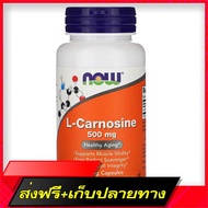 Delivery Free Now Foods L-Carnosine 500 mg 50 Vcaps