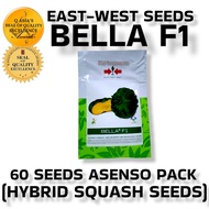 ✻✖✐BELLA F1 (60 SEEDS) ASENSO PACK HYBRID CALABASA BY EAST WEST SEEDS