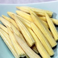㊣盅龐水產◇元氣玉米筍◇淨重1kg±5%/包◇零$160/包◇百搭玉米筍 鮮甜可口 玉米生菜 蔬菜 歡迎團購批發
