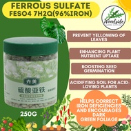 Woodside Iron Sulfate/Ferrous Sulfate FeSO4 7H20 Prevents yellowing of leaves and adjust PH Water So
