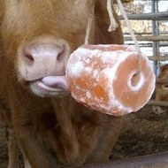 Himalayan Salt Lick on Rope for Horse, Deer, Goat, Sheep, Cow, Cattle, Alpaca, & Livestock Animals –