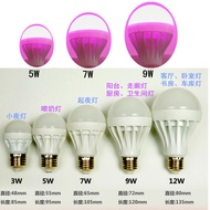 E27 Screw LED Energy-Saving Bulb Pink Bulb Red Bulb Blue Bulb Warm Light White Light Bulb Light Sour