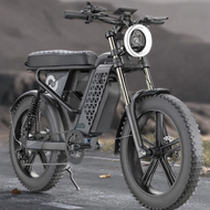 Sepeda Listrik Fat Bike 20 Inch Brushless Dual 48V 15Ah 750W