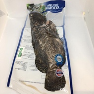 Nikudo GROUPER HYBRID (GIANT GROUPER MIX TIGER GROUPER) WHOLE CLEAN 龙虎斑 (全净） Fish Seafood Ikan 海鲜