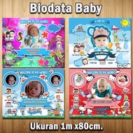 Baby Biodata