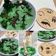 Crocodile life cycle sensory play วงจรชีวิตจระเข้ วงจรชีวิตสัตว์ montessori พร้อมส่ง🇹🇭