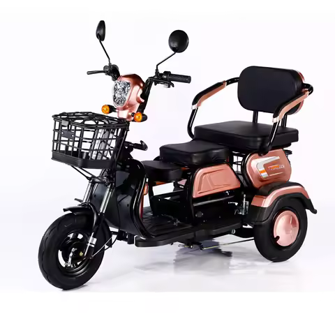 High Quality 600W 48V 3 Wheel Electric Tricycle Motorcycle Family Cargo E Bike 3 Wheel Electric Bicy