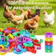 【FREE Shipping】Chicken Leg Rings 7 Colors | 2~2.4cm Max | Durable for Poultry | PHL Farmers' Choice