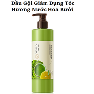 Dầu Gội Hương Bưởi Nước Hoa Mọc Tóc OGULIA Chiết Xuất Tinh Chất Trà Xanh & Bưởi Giúp Tóc Ỏng Ả Bồng