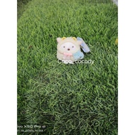 Japan Limited Sumikko Gurashi Sumikko Gurashi Polar Bear Plush Small Pendant