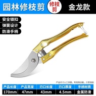 园艺工具 德国SK5钢剪树剪子果树修枝剪刀家用花木葡萄树剪 橙色修枝/修花剪刀 1把