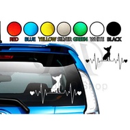 Animal Car.  Sticker