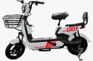 Sepeda Listrik Goodrich Go Pro Gopro Df5 Baterai Winfly U Kaya Yang