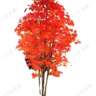 | Dijing Craft * Simulation Plant Tree Fake Decoration Living Room Office Garden 5 Poles 2 Meters Re