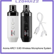 [Lzdhuiz2] Wireless Microphone System XLR &amp; Receiver Wireless Guitar System for Audio Mixer Dynamic Mic