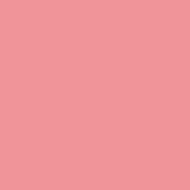 Background Paper 2.71 x 11m #17 CARNATION PINK Colour