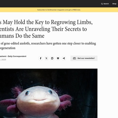Saintis Temui Cara Axolotl Mengetahui Bahagian Badan Yang Perlu Ditumbuhkan Semula, Mencetuskan Perdebatan Mengenai Kaedah Regenerasi Manusia