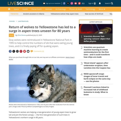Việc Tái Thả Sói Tại Yellowstone Gây Tranh Cãi Về Các Tuyên Bố Khoa Học và Quản Lý Hệ Sinh Thái