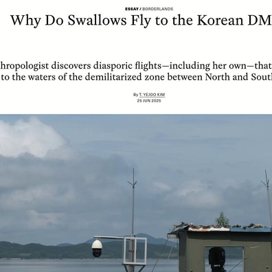Artikel DMZ Korea Memicu Perdebatan tentang Pemahaman Bacaan dan Akurasi Ilmiah