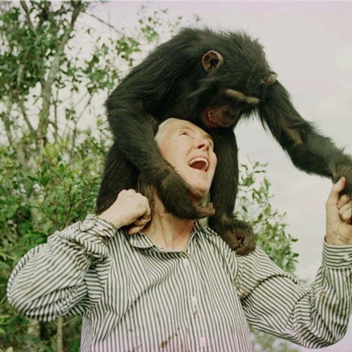 Jane Goodall Meninggal di Usia 91: Komunitas Berbagi Pertemuan Terakhir dengan Primatolog Legendaris