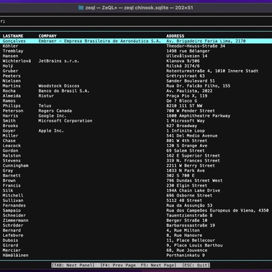 Pelayar SQLite ZeQL+ Menunjukkan Potensi Walaupun Menghadapi Isu Kestabilan