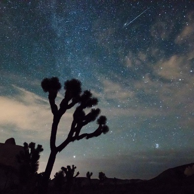 ฝนดาวตก Perseid ถึงจุดสูงสุดในสัปดาห์นี้ แม้จะมีแสงจันทร์สว่างรบกวน