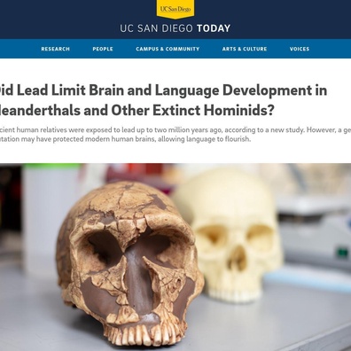 Di Sản Đường Ống Chì Thời Hiện Đại Khơi Dậy Lo Ngại Sức Khỏe và Tranh Luận Lịch Sử