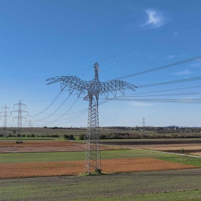 Adakah Talian Kuasa Berbentuk Haiwan Austria Benar? Komuniti Debat Kelayakan Konsep Viral