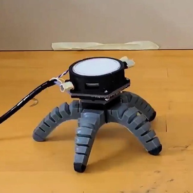 Para Ilmuwan Mempertanyakan Apakah Robot yang Dikendalikan Jamur Benar-Benar "Belajar" Sesuatu