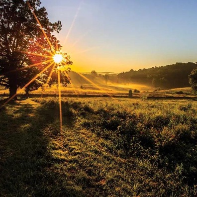 Dari Powdered ke Powered: Bagaimana Salah Ketik Memicu Visi Komunitas Teknologi untuk Wearable Masa Depan