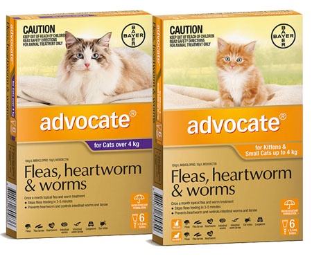 Bayer Advocate Cat | ยากำจัดเห็บ หมัด  สำหรับแมว