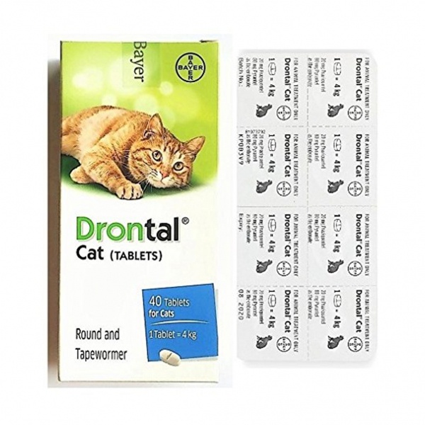 Bayer Drontal Cat | ยาถ่ายพยาธิ แมว