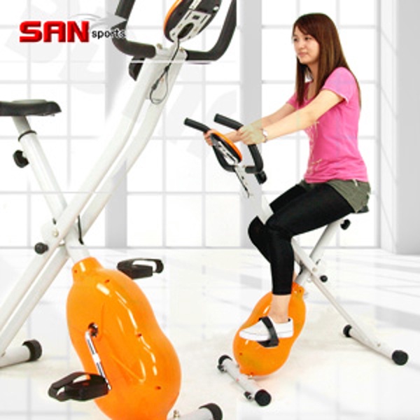 【SAN SPORTS山司伯特】飛輪式MAX磁控健身車(C121-340)