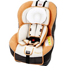 Britax Omega Car Seat