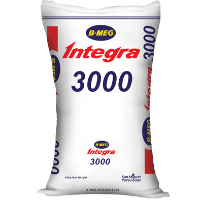 B-MEG Integra 3000