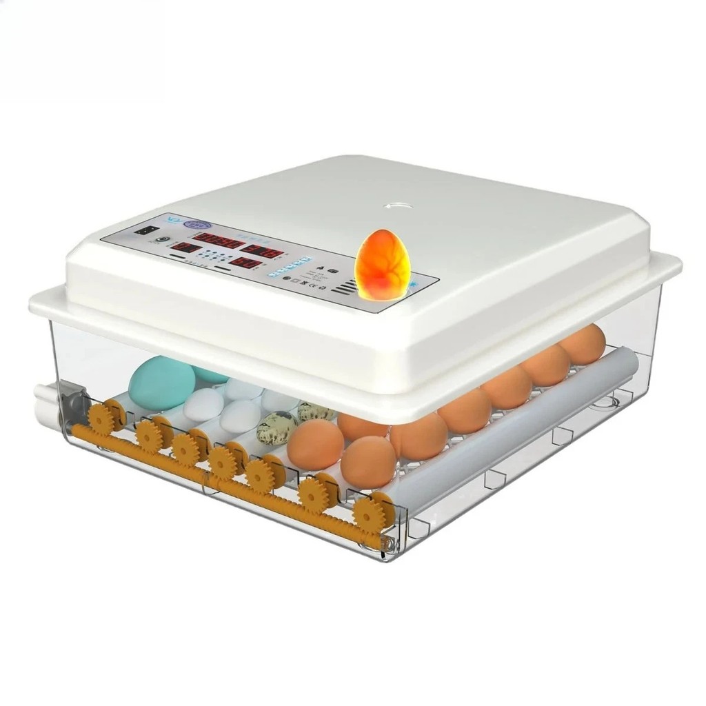 EGG Incubator Machine Price & Voucher Oct 2026 | BigGo Philippines