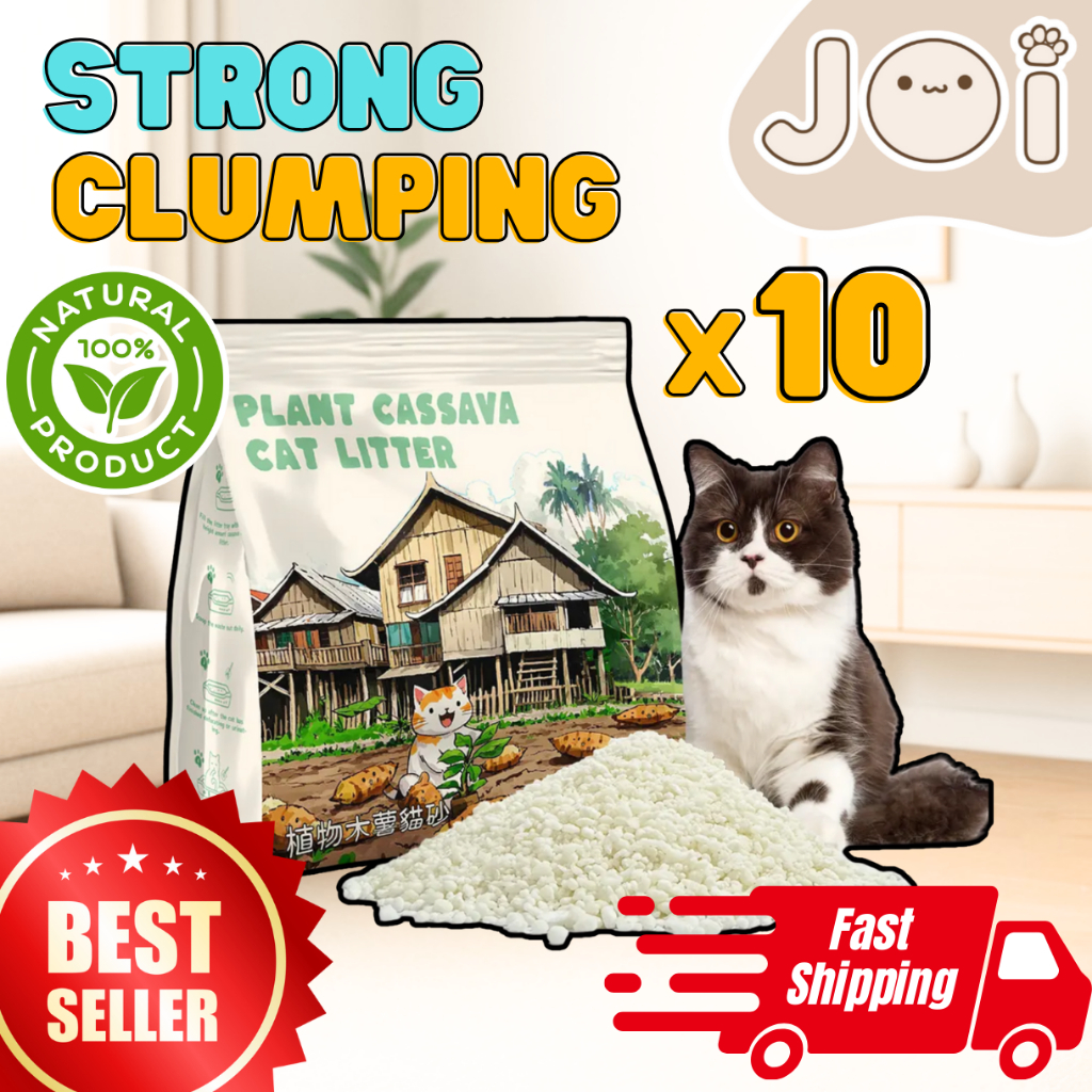 cassava cat Price & Promotion-Okt 2026 | BigGo Malaysia