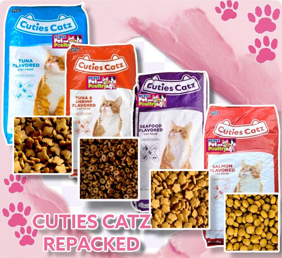 Cuties Catz Price Voucher May 2024 BigGo Philippines