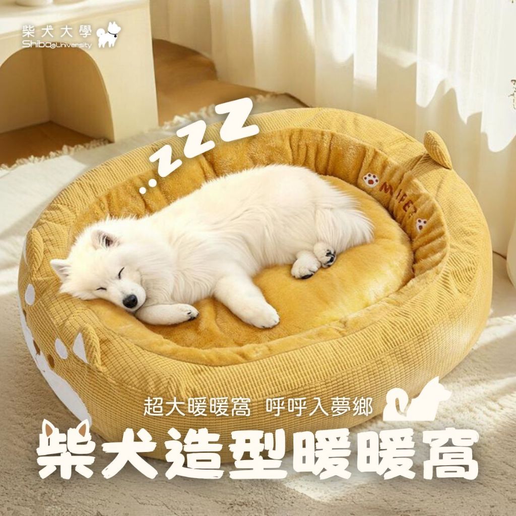 柴犬的價格推薦- 2026年1月| 比價比個夠BigGo