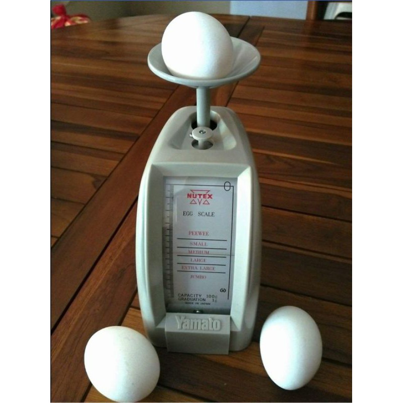 Otex Scale Price Voucher Feb 2024 BigGo Philippines