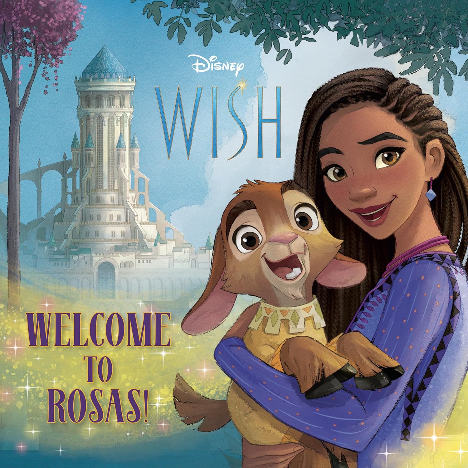 28cm Disney Wish Star Romance Vinyl Star Wish Princess Asha WISH