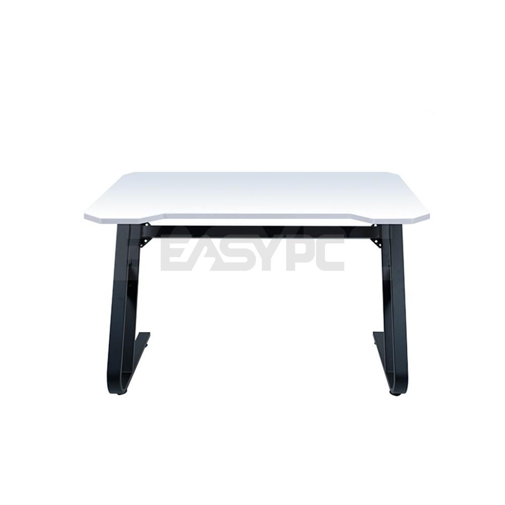 Rakk computer table deals