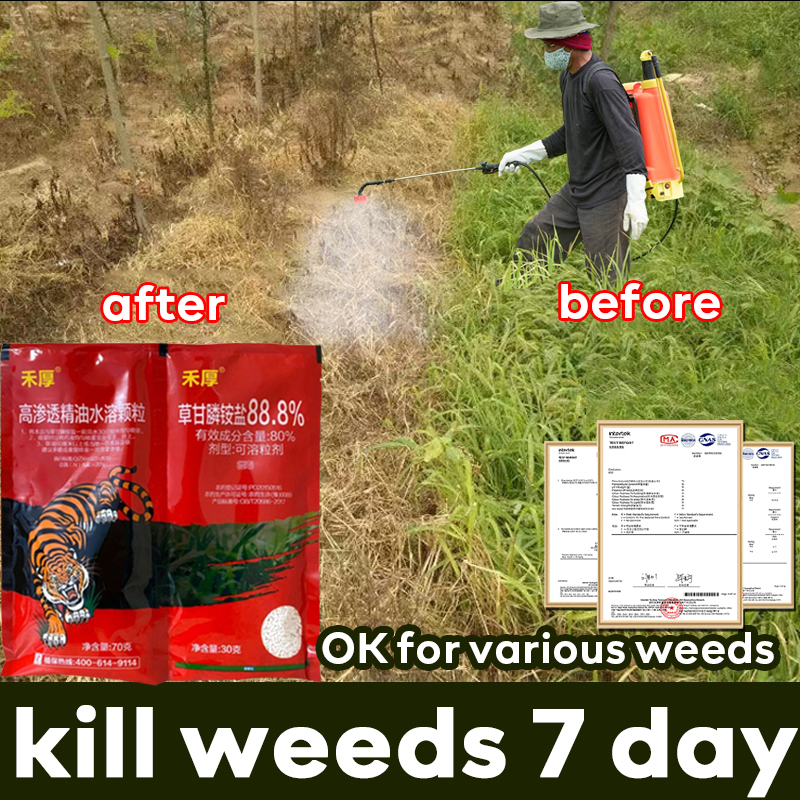 Herbicides Price & Voucher Mar 2024BigGo Philippines