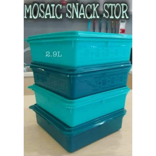 Tupperware B2B Snack Store 2.9L 