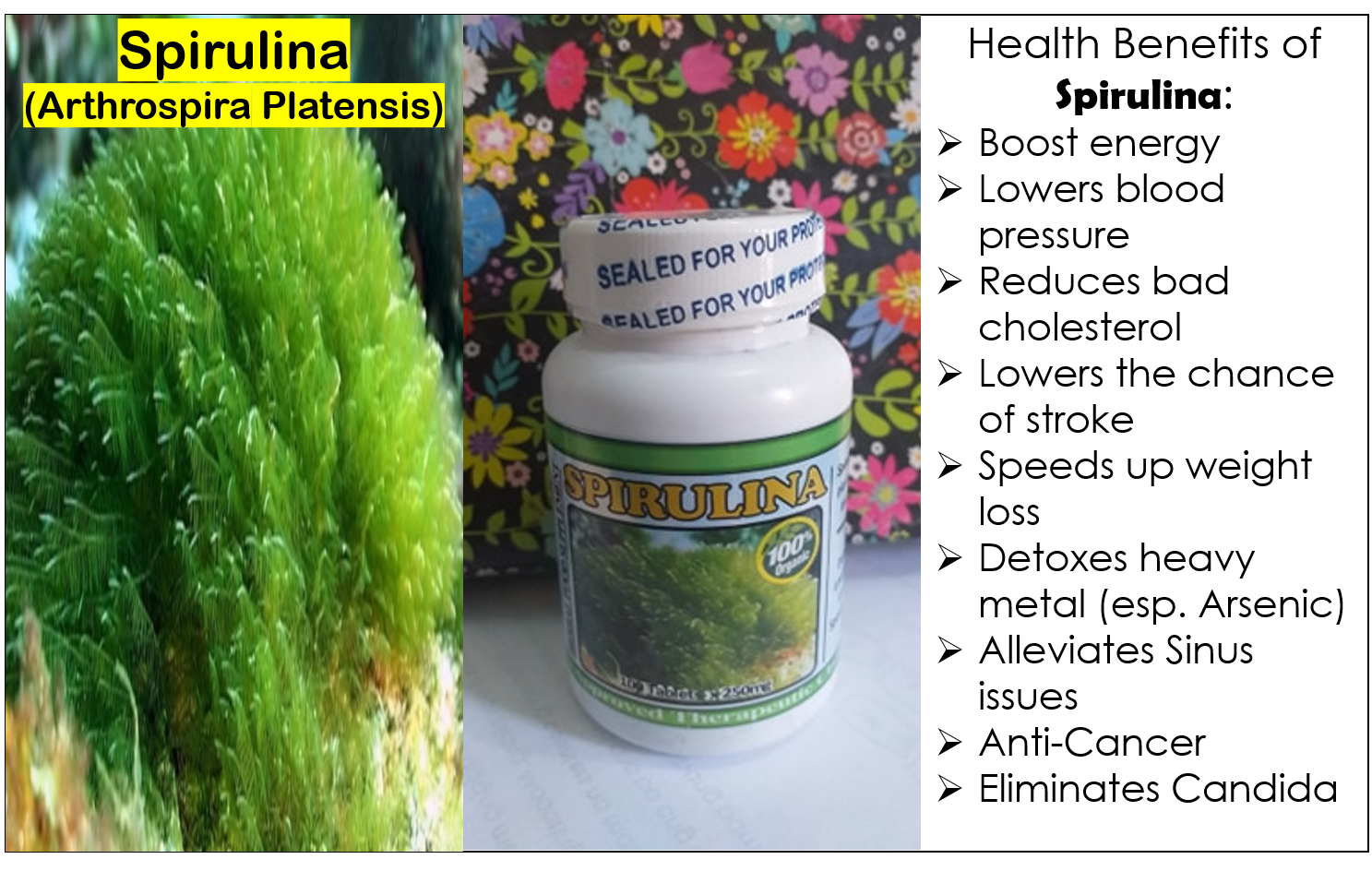 Spirulina Price & Voucher Apr 2023BigGo Philippines
