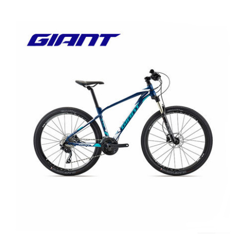 Giant 800 online xtc