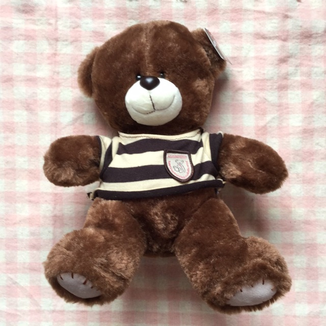 Teddy bear hot sale kaison