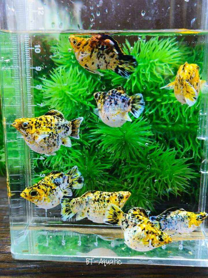 iPrice Malaysia Search products compare prices online