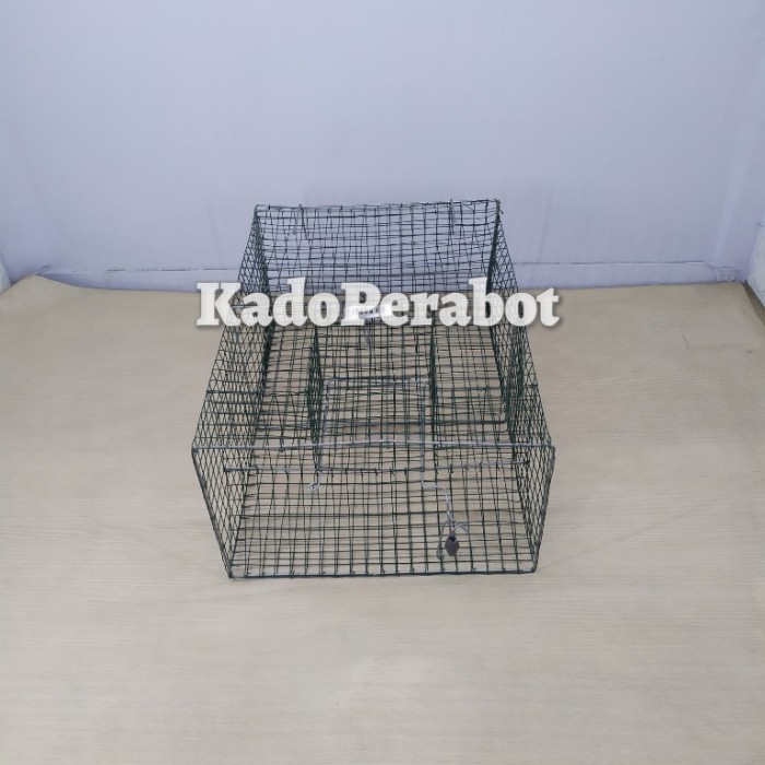 Jual Rolling Bucket Mouse Trap Perangkap Jebakan Tikus Masal Anti Racun